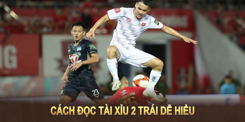 Cách đọc tài xỉu 2 trái dễ hiểu giúp tăng tỷ lệ thắng cược