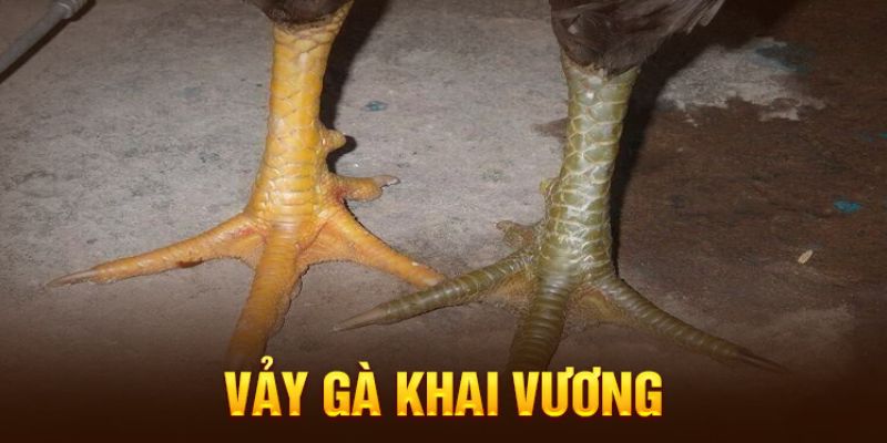 Phân loại các loại vảy gà khai vương hiện nay