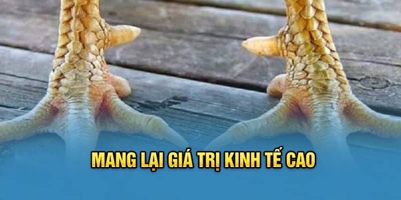 Khám phá đặc điểm nổi bật và cách xem vảy gà tứ quý tốt